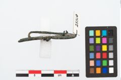 Foto von Bronzebrillenfibel (NHMW-PRAE-025500)